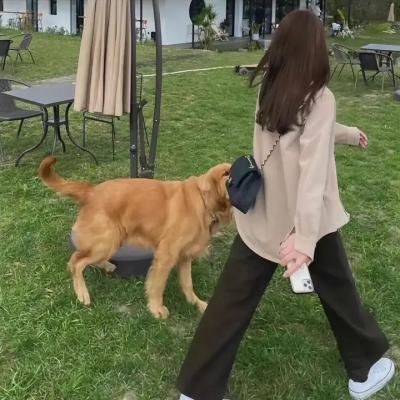 我们这一天第二季
